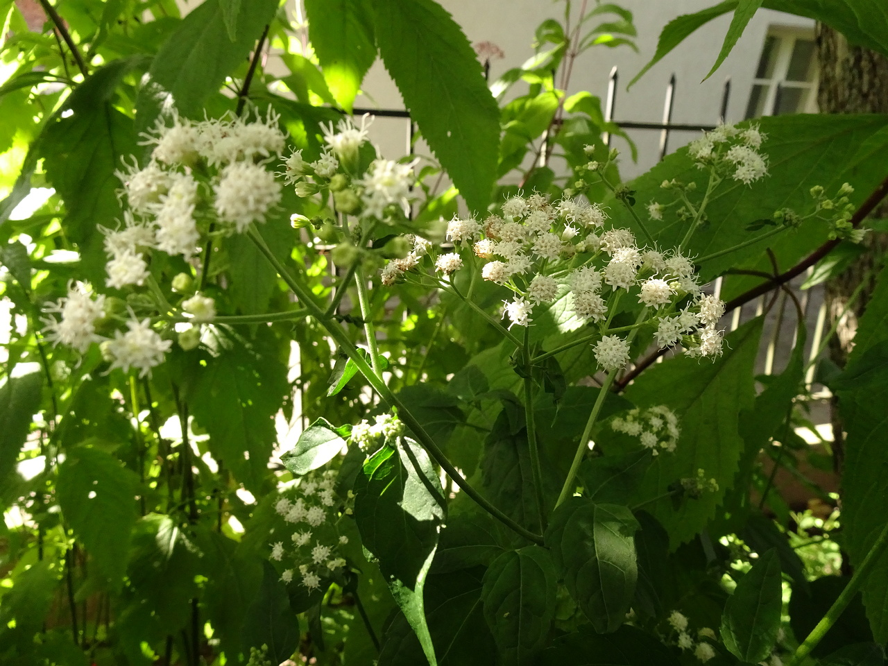 DSC01269