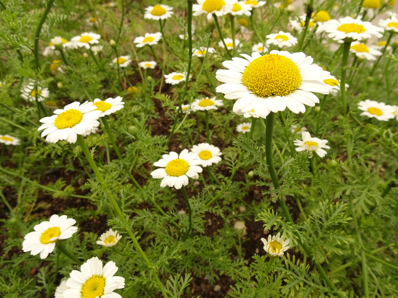 DSC09073