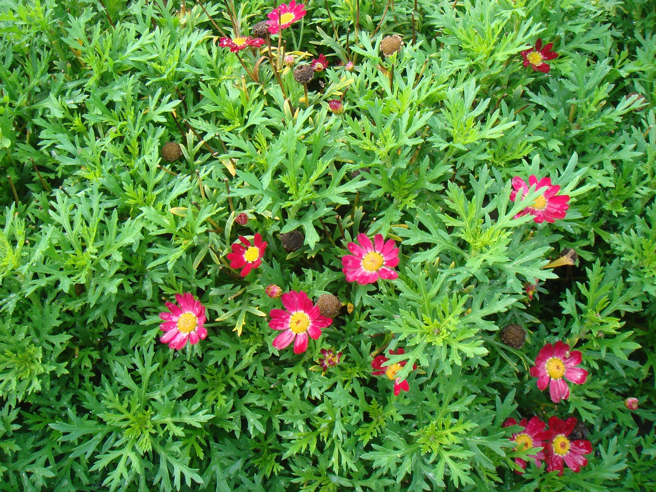 DSC09902