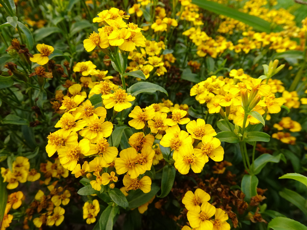 0DSC05392