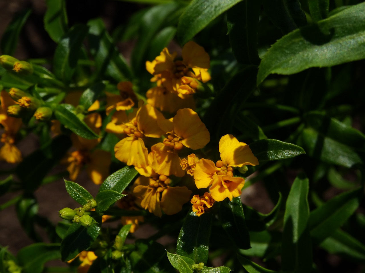 DSC02044