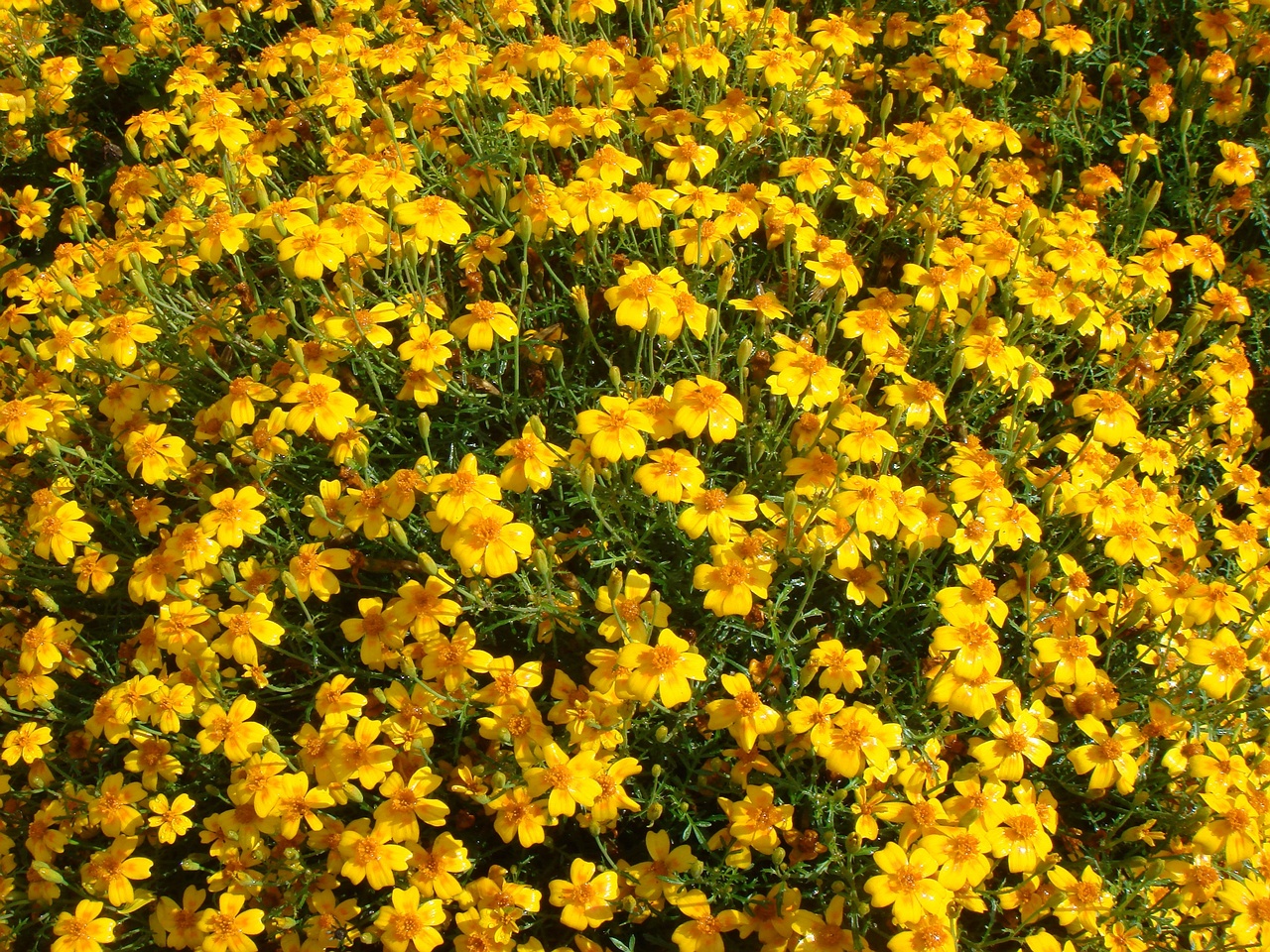 DSC09797