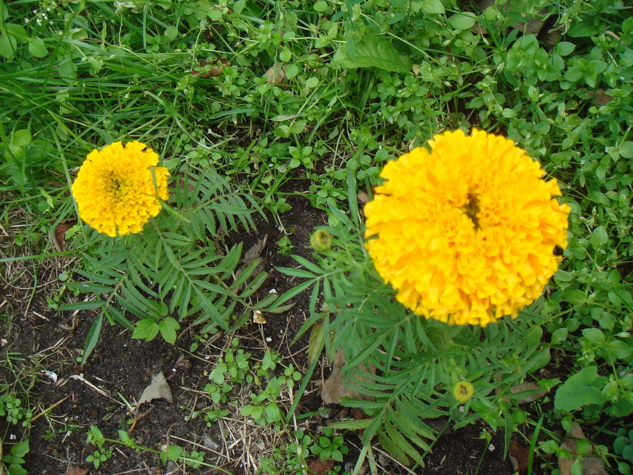 DSC01897