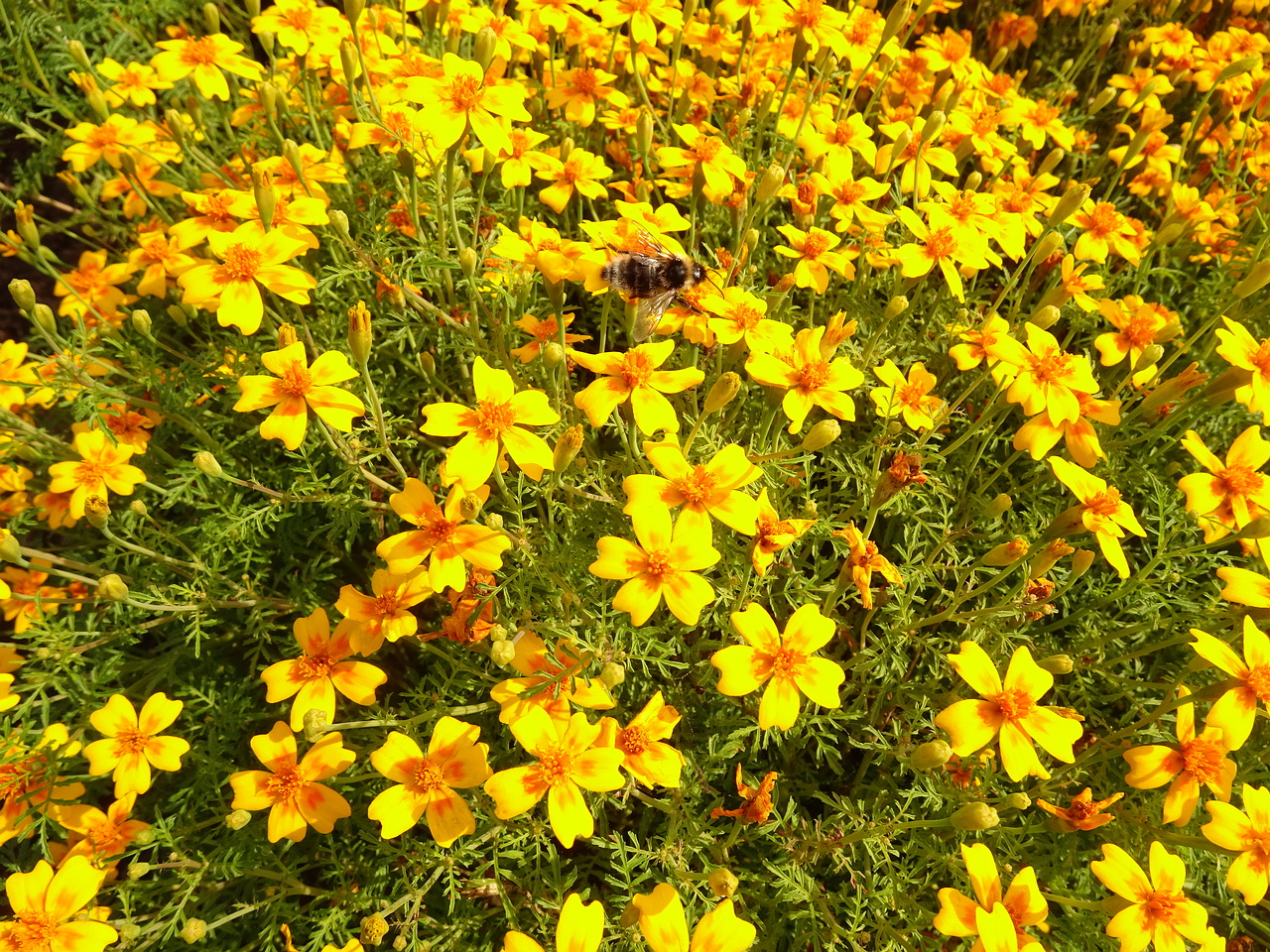 0DSC05492
