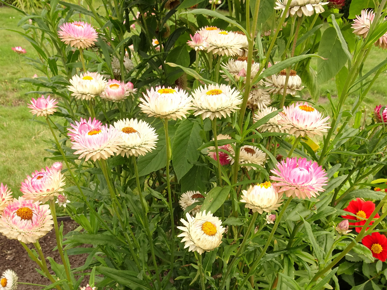 DSC05518