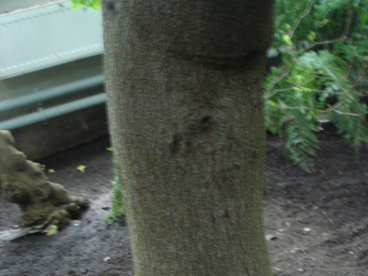 DSC00079
