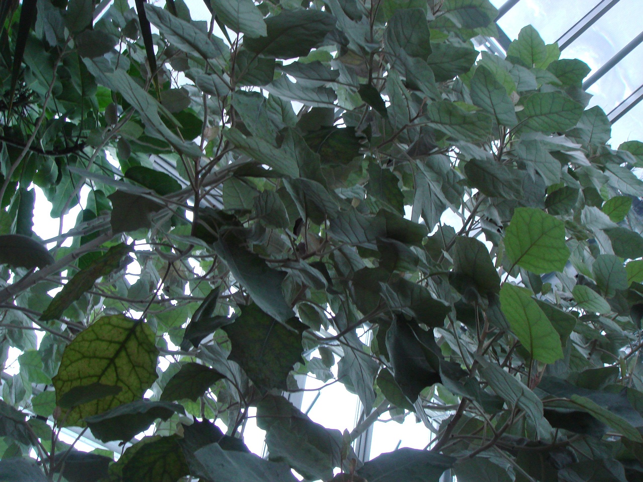 DSC00080