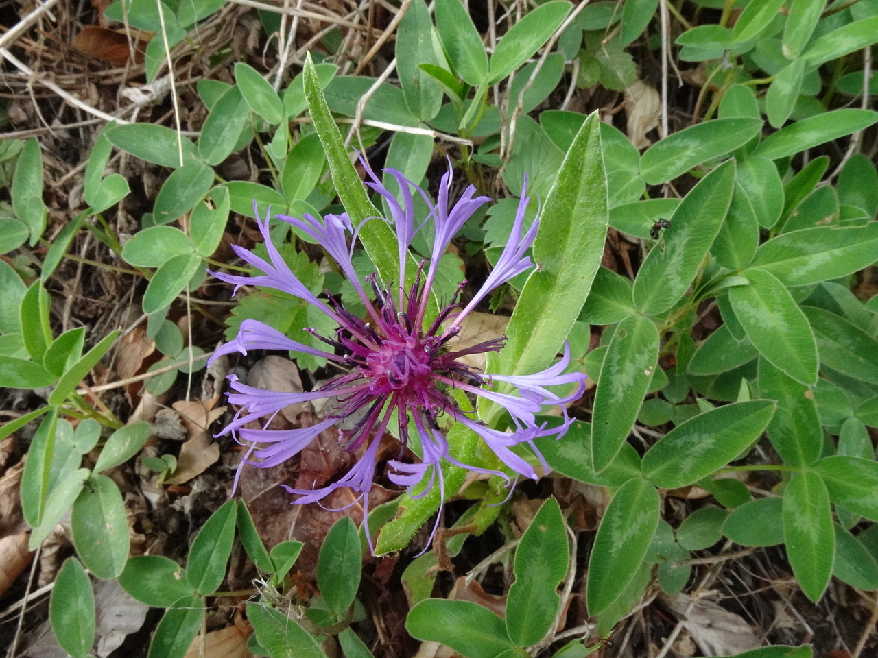 DSC02040