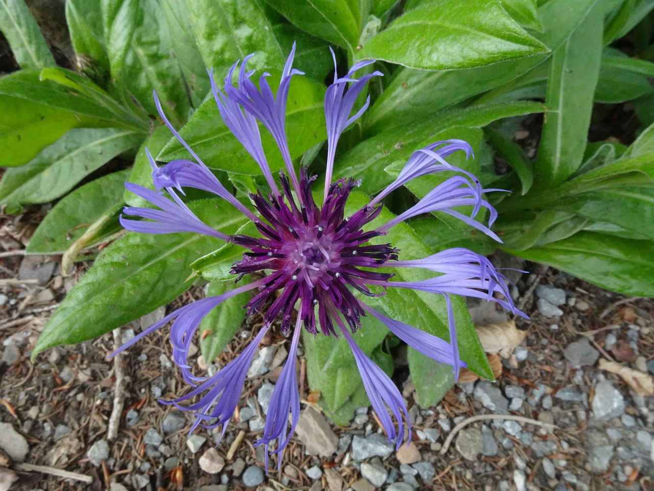 DSC02046