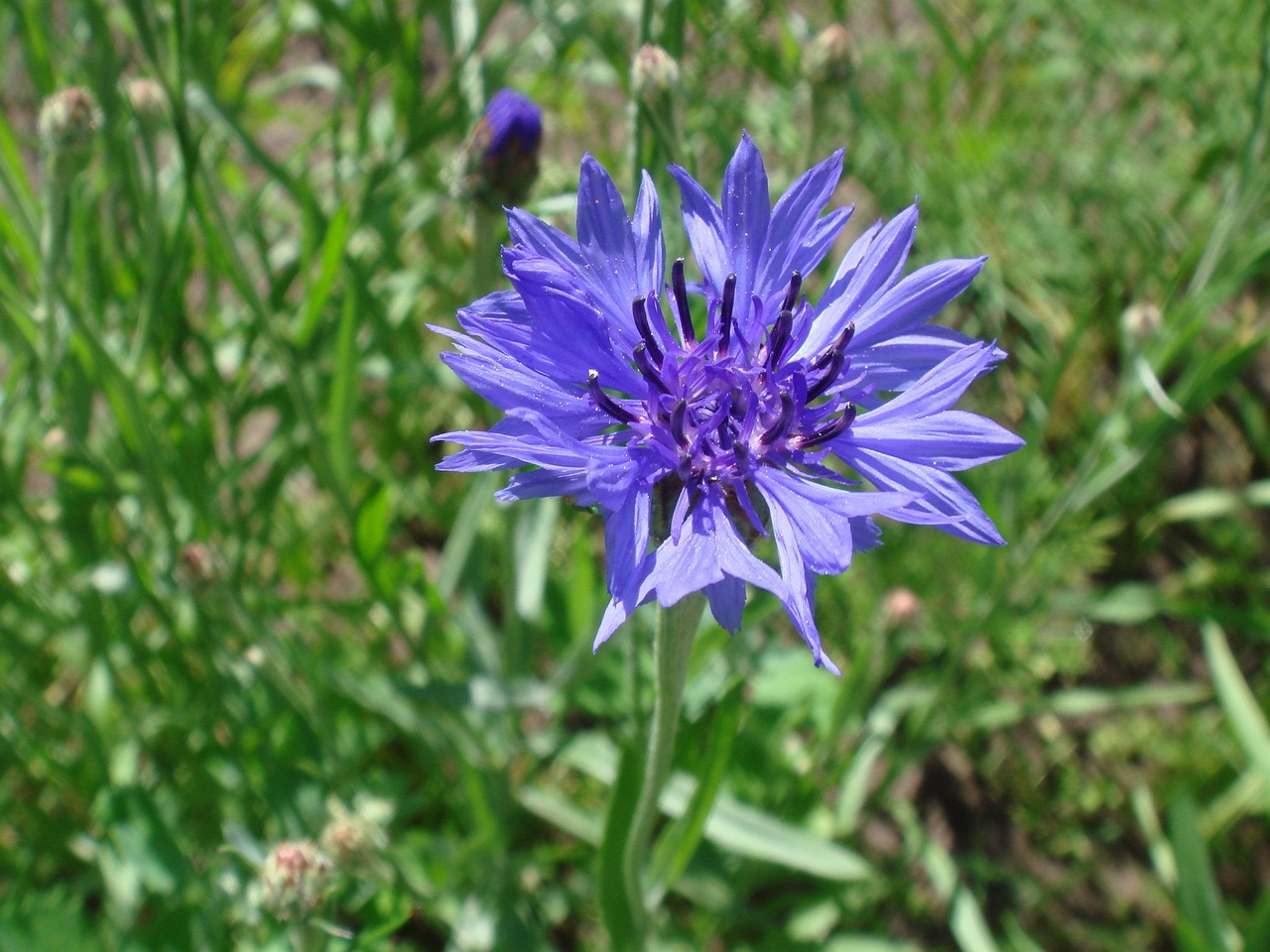 DSC08709