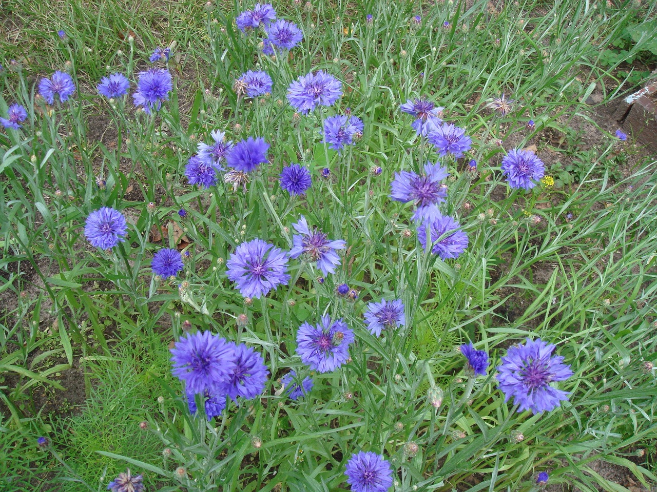 DSC08760