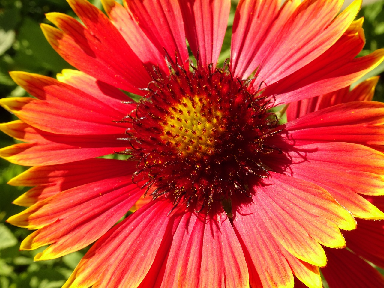 DSC09720