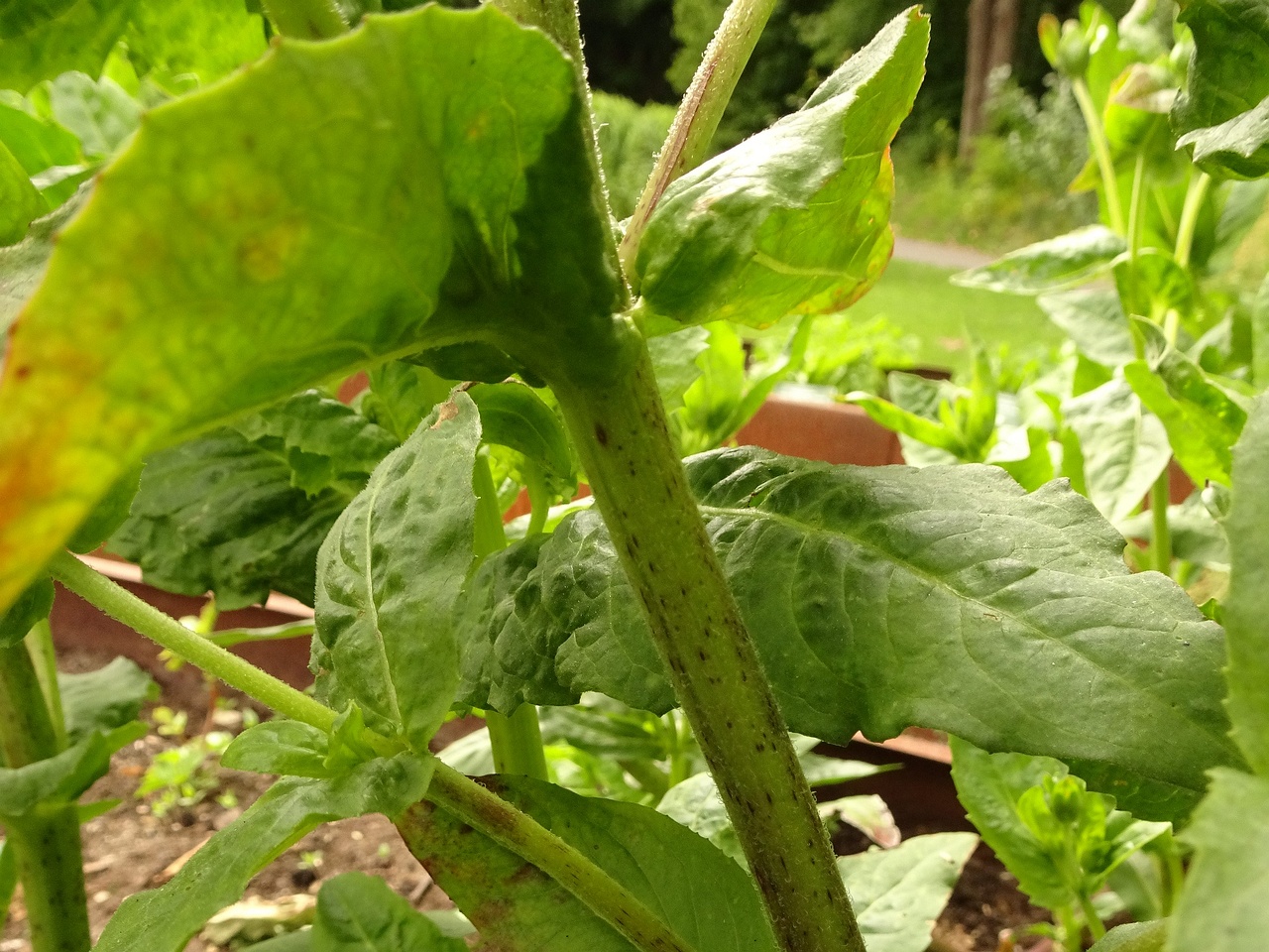 DSC04025