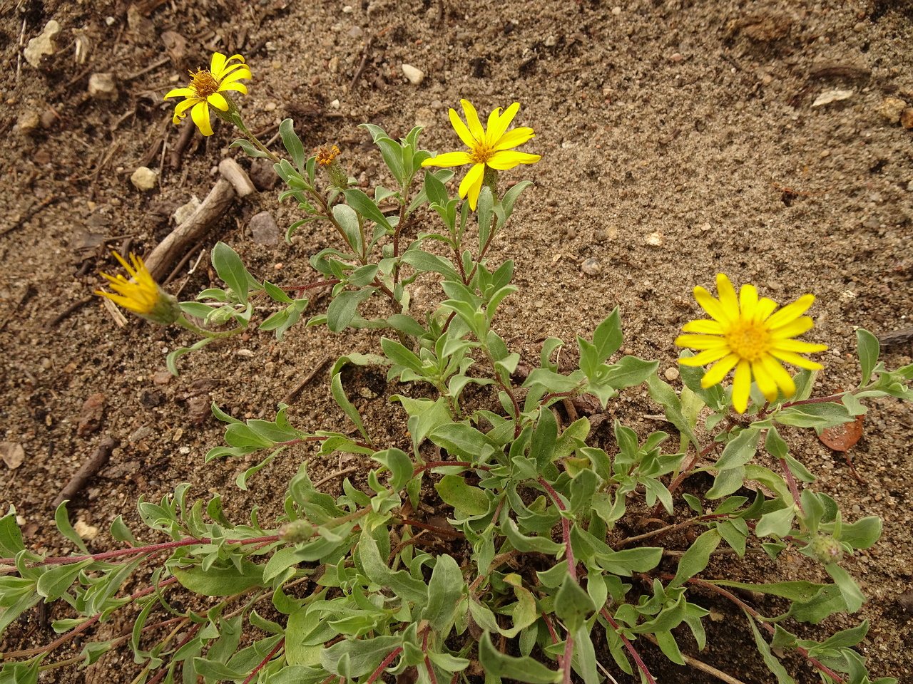 DSC05080