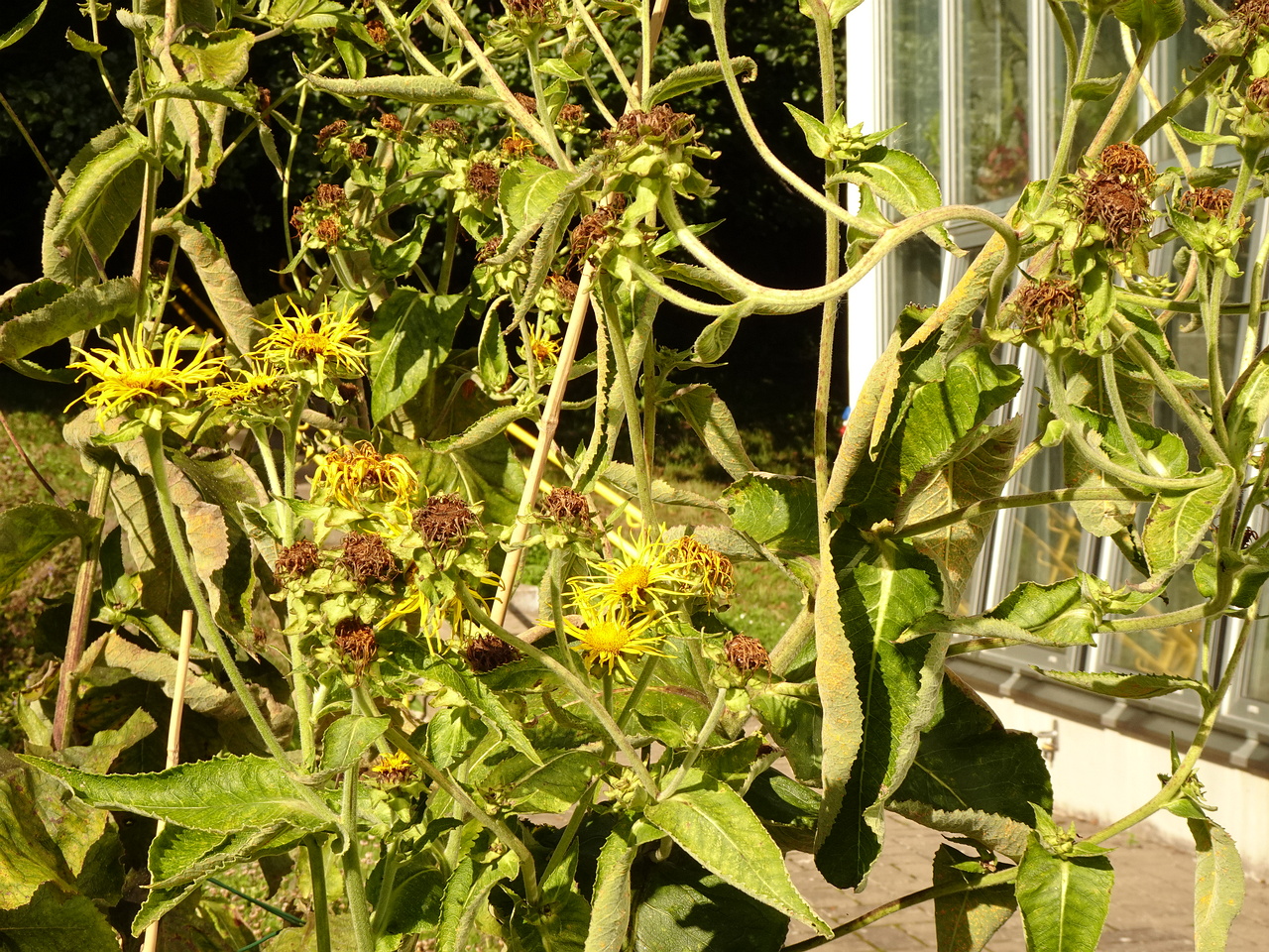 DSC05511