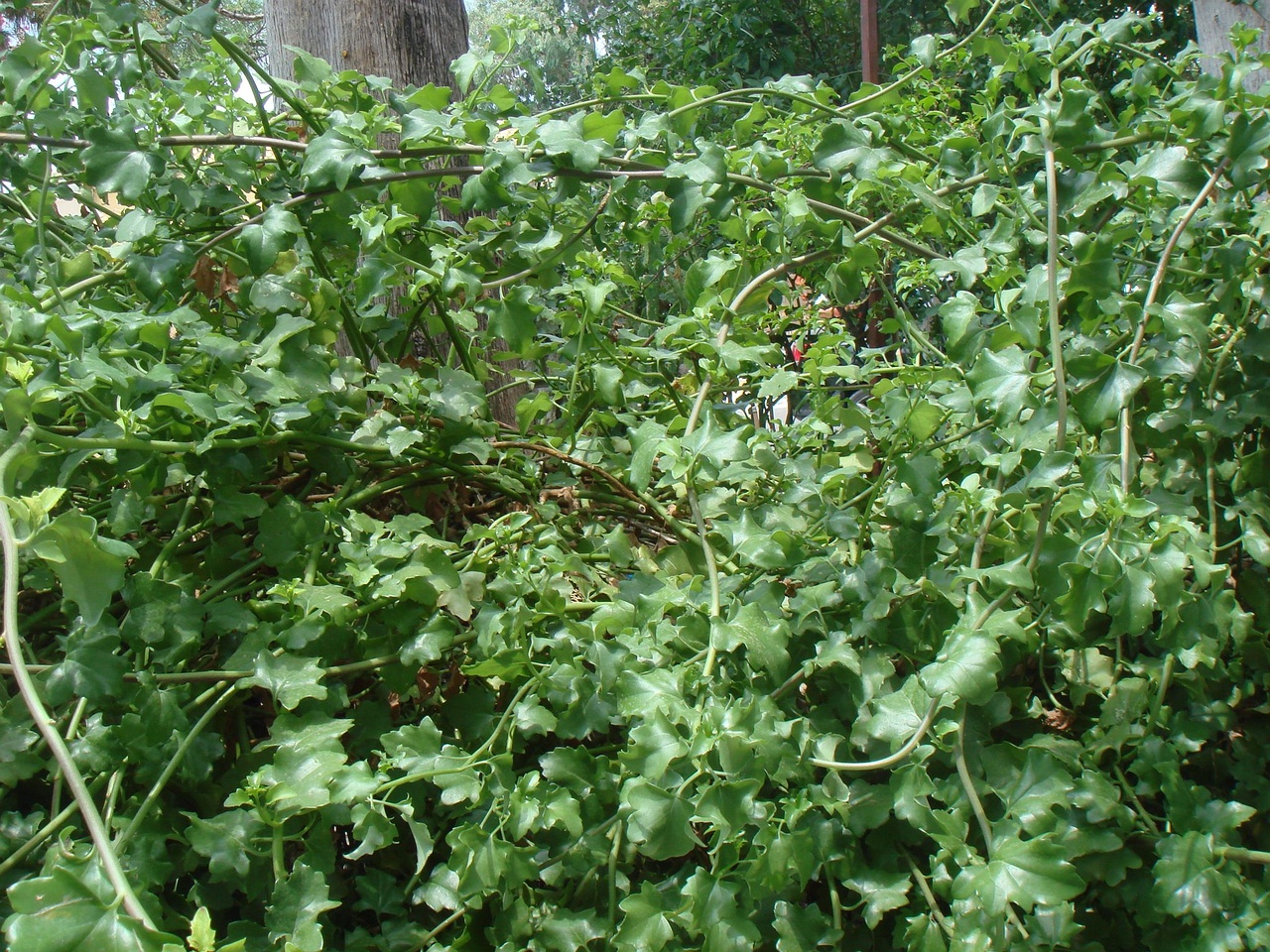 DSC03108