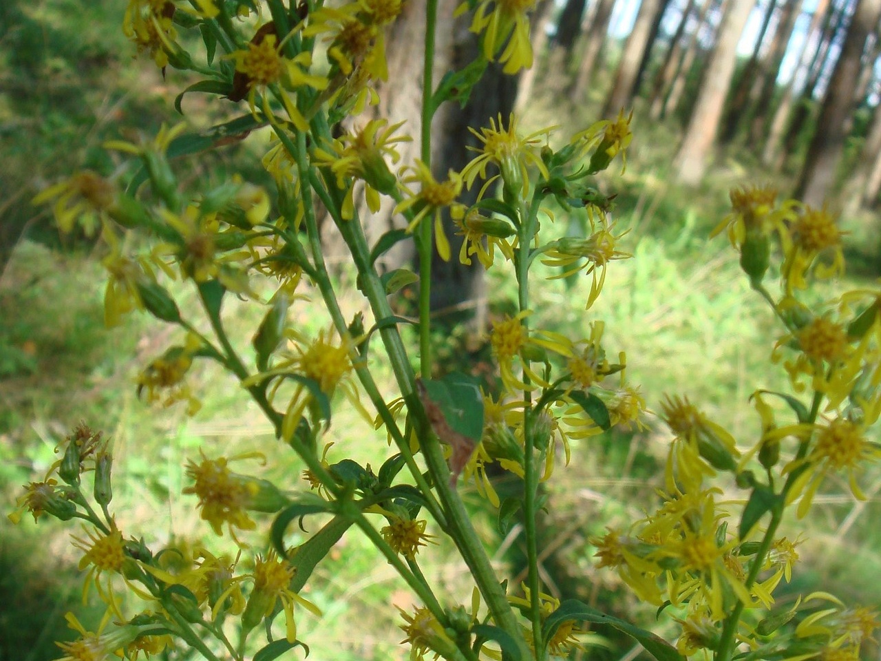 DSC03577