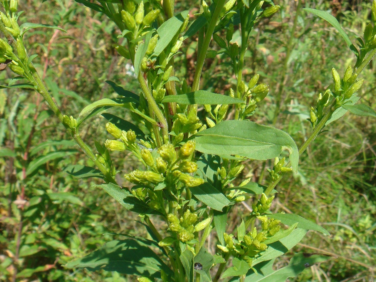 DSC09158