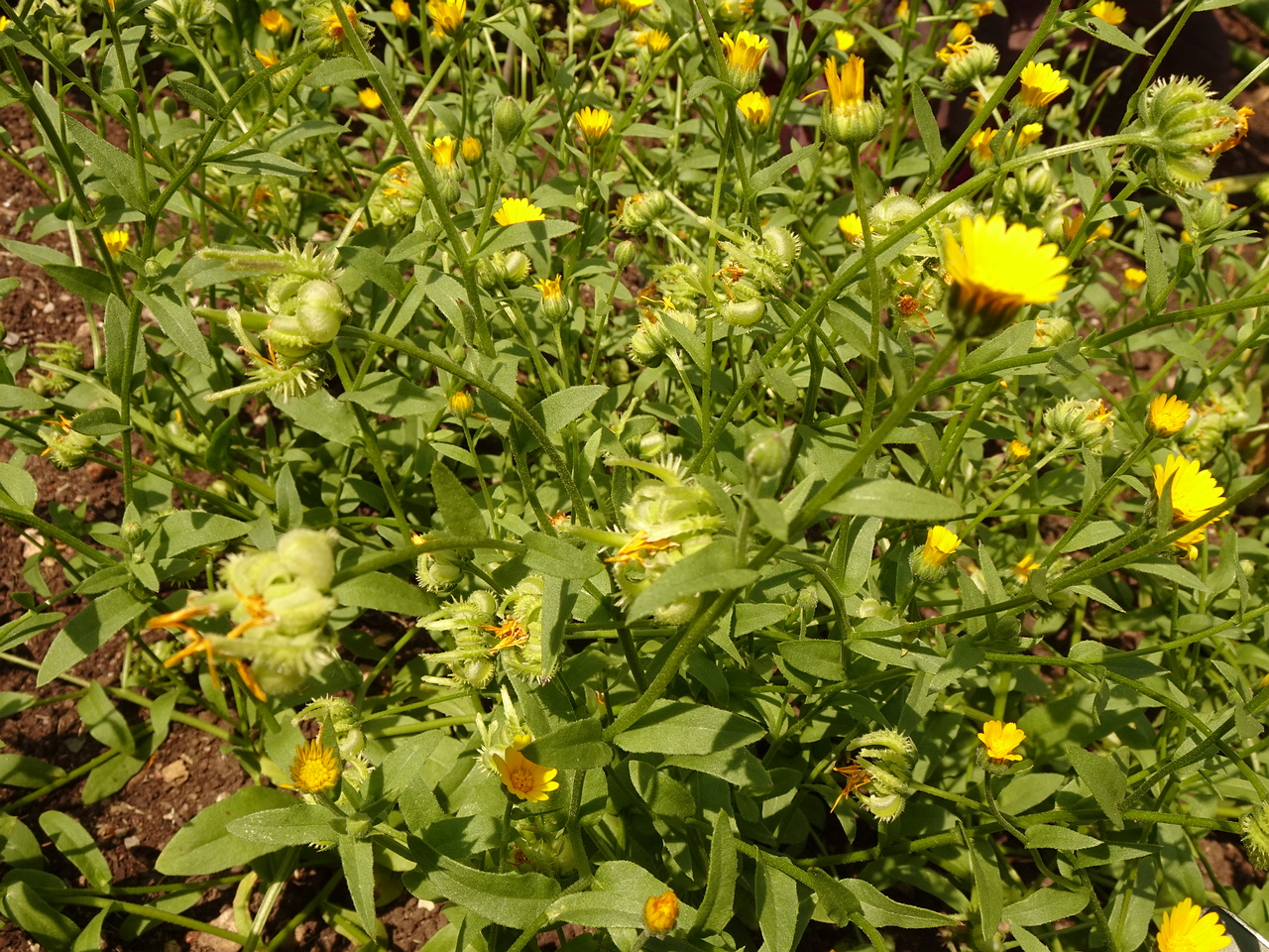 DSC04148