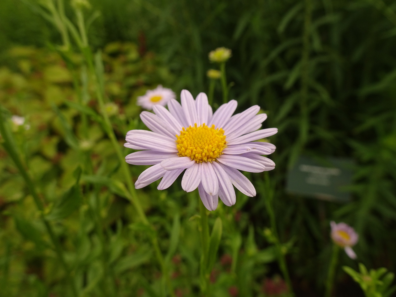 DSC05038