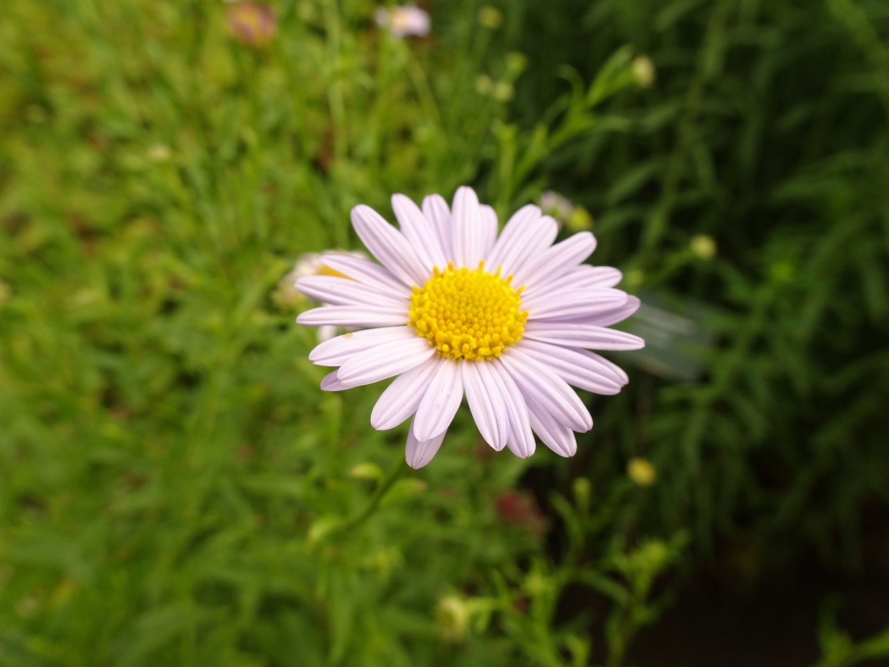 DSC05040