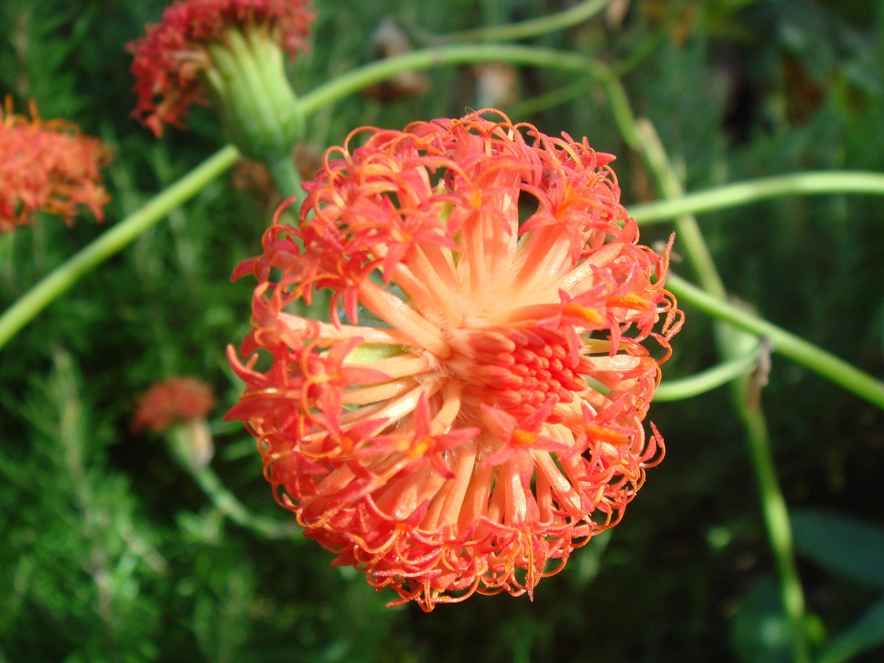 0DSC00057