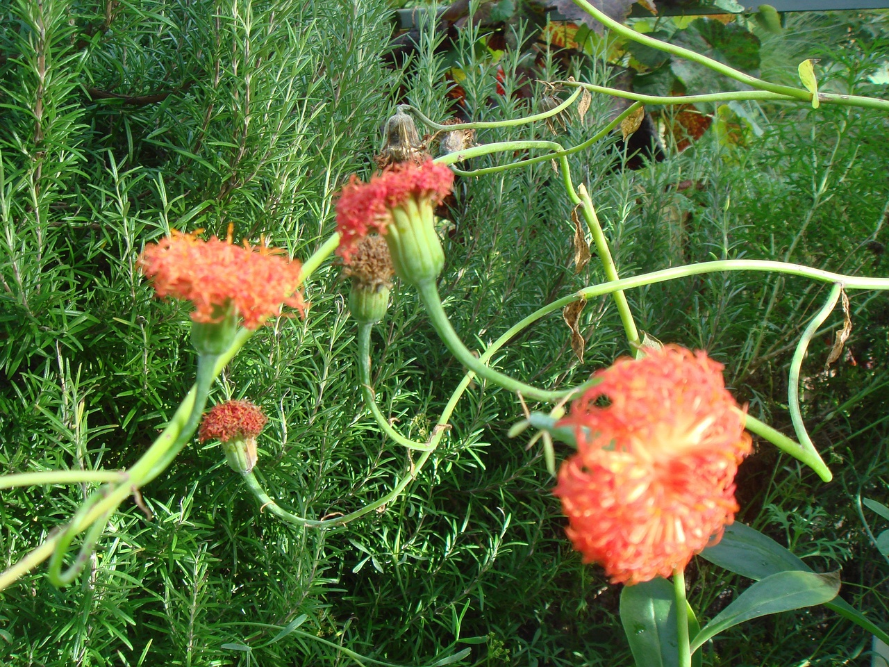 DSC00058