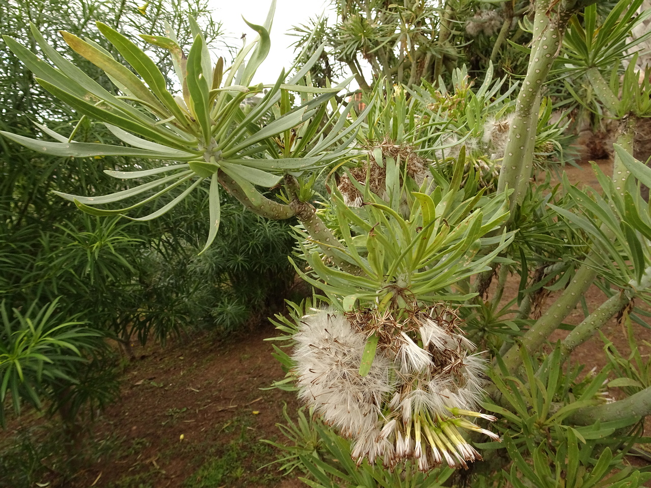 DSC05657