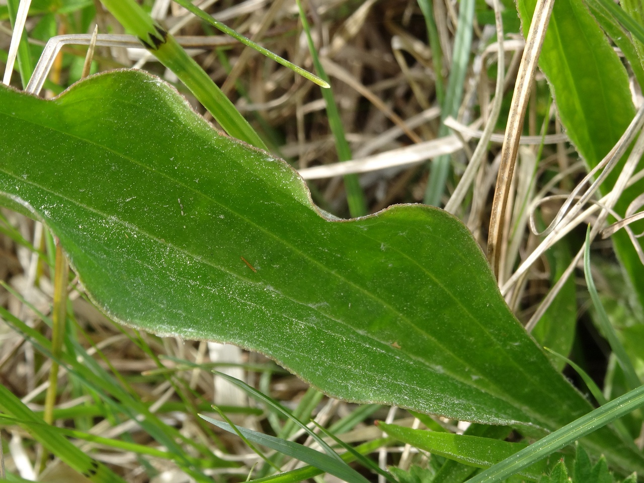 DSC03573
