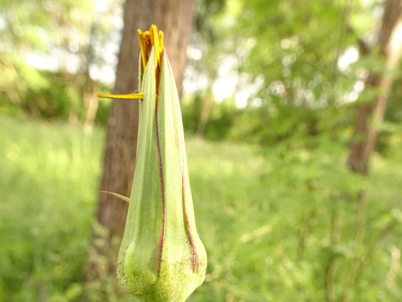 DSC08660