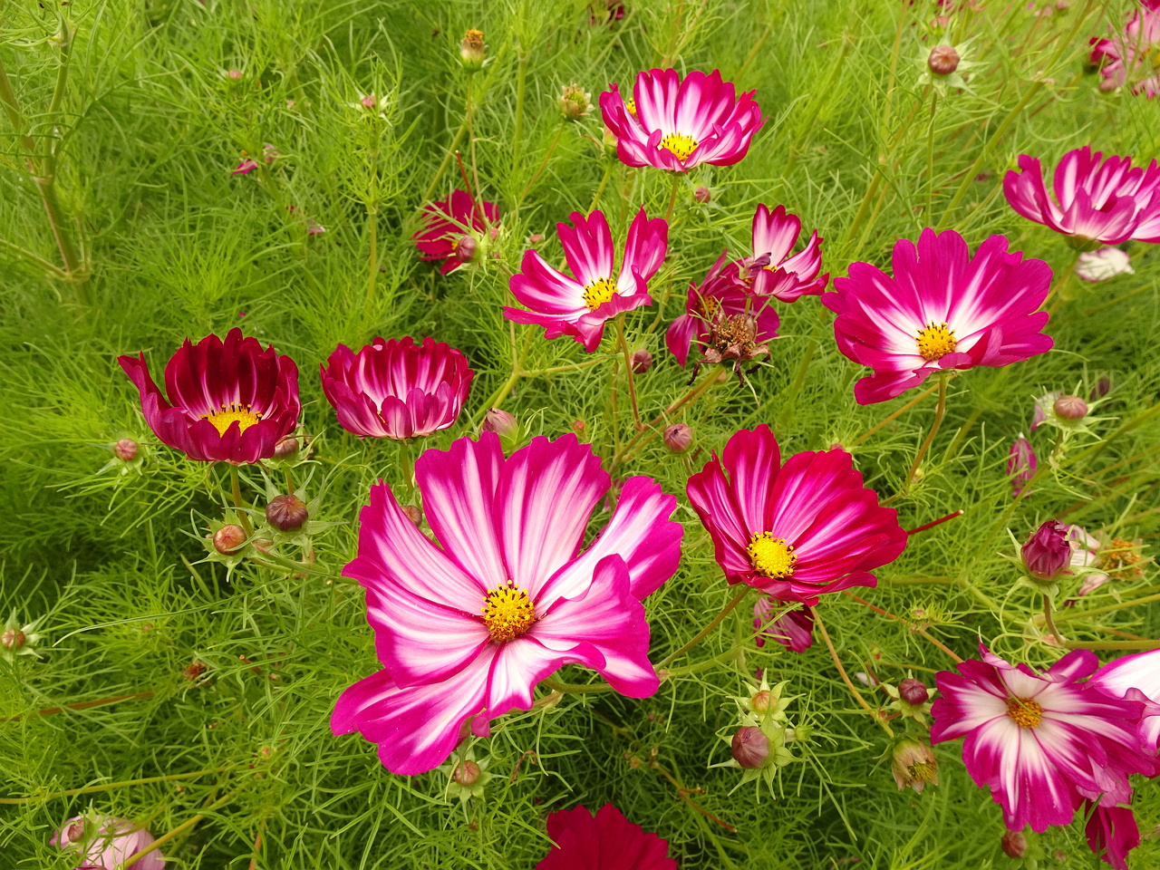 0DSC05509