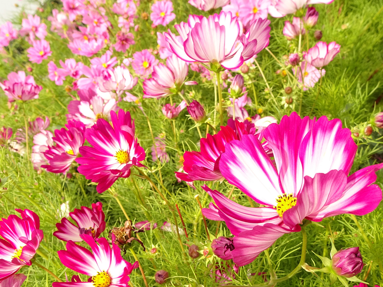 DSC05506