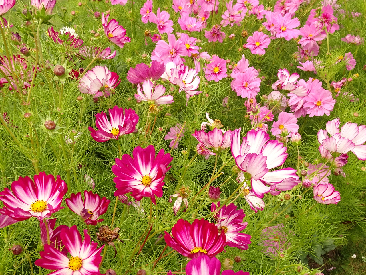 DSC05508
