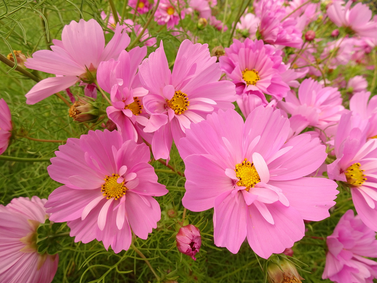 0DSC05503