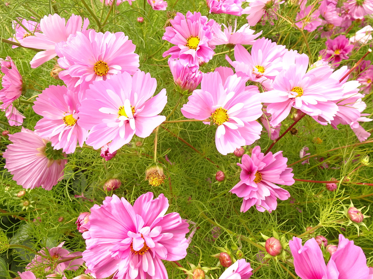 DSC05501