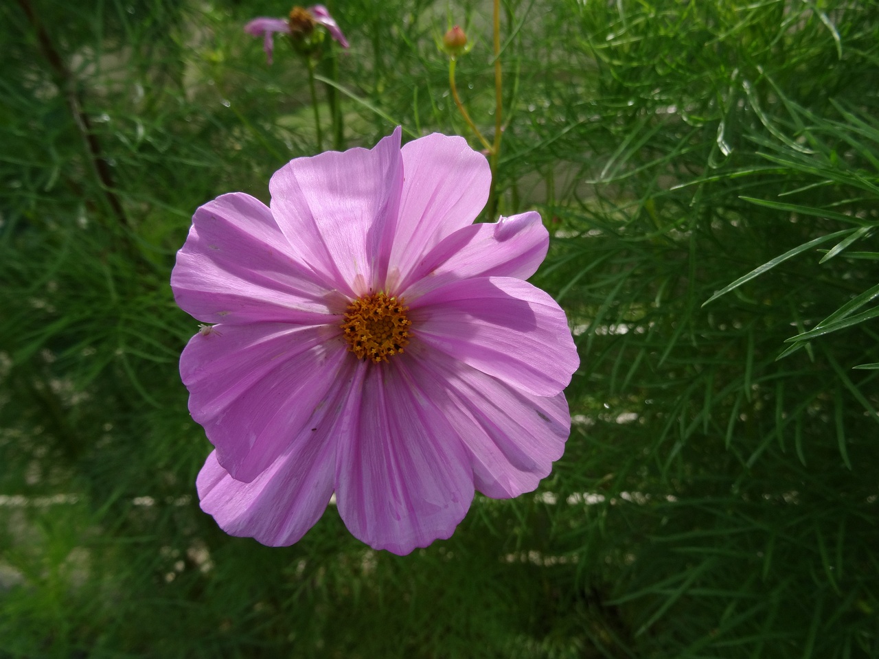 DSC00068