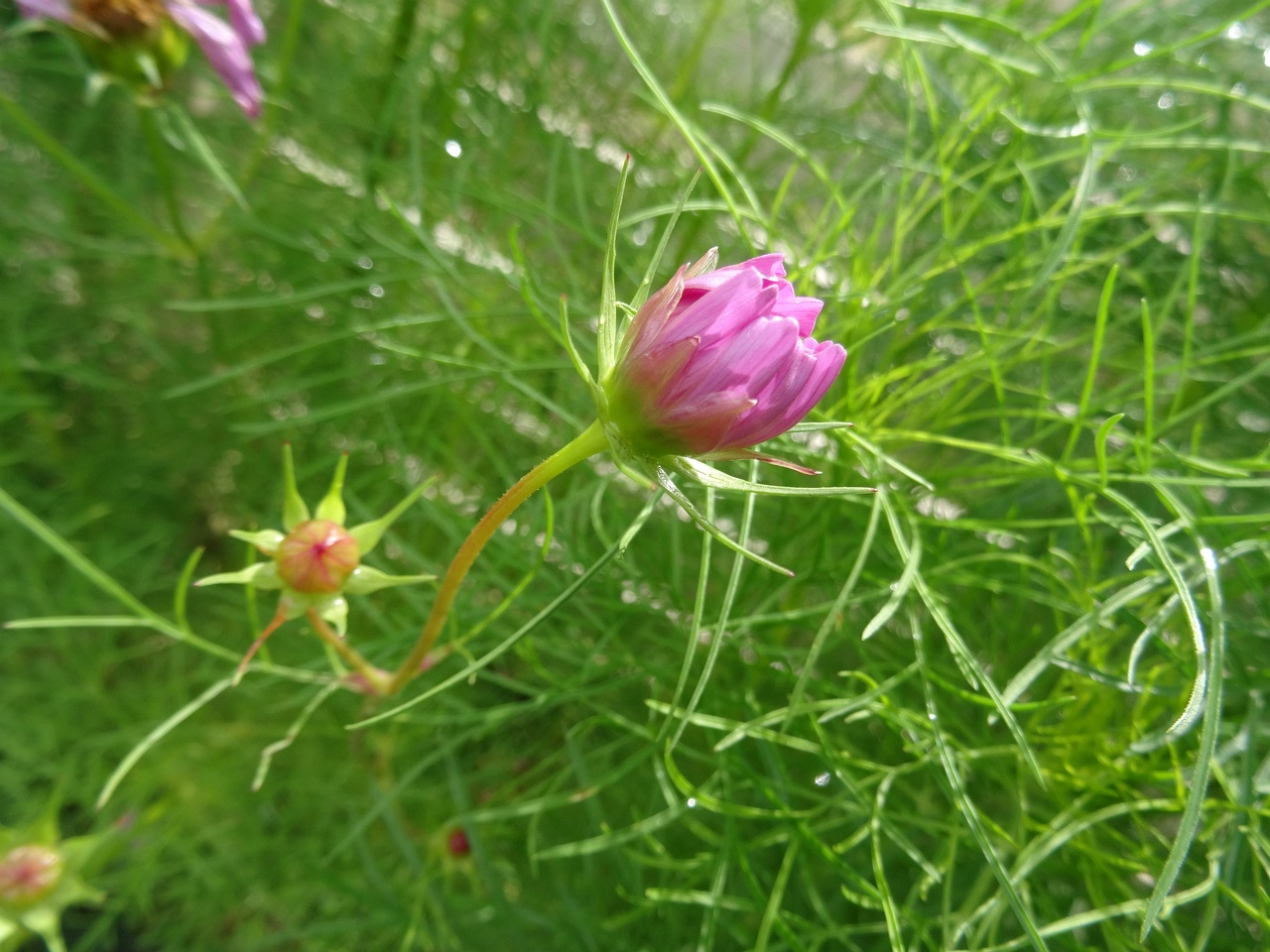 DSC00069