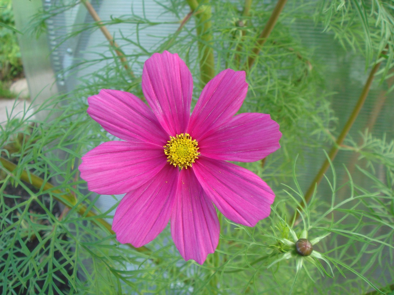 DSC03527
