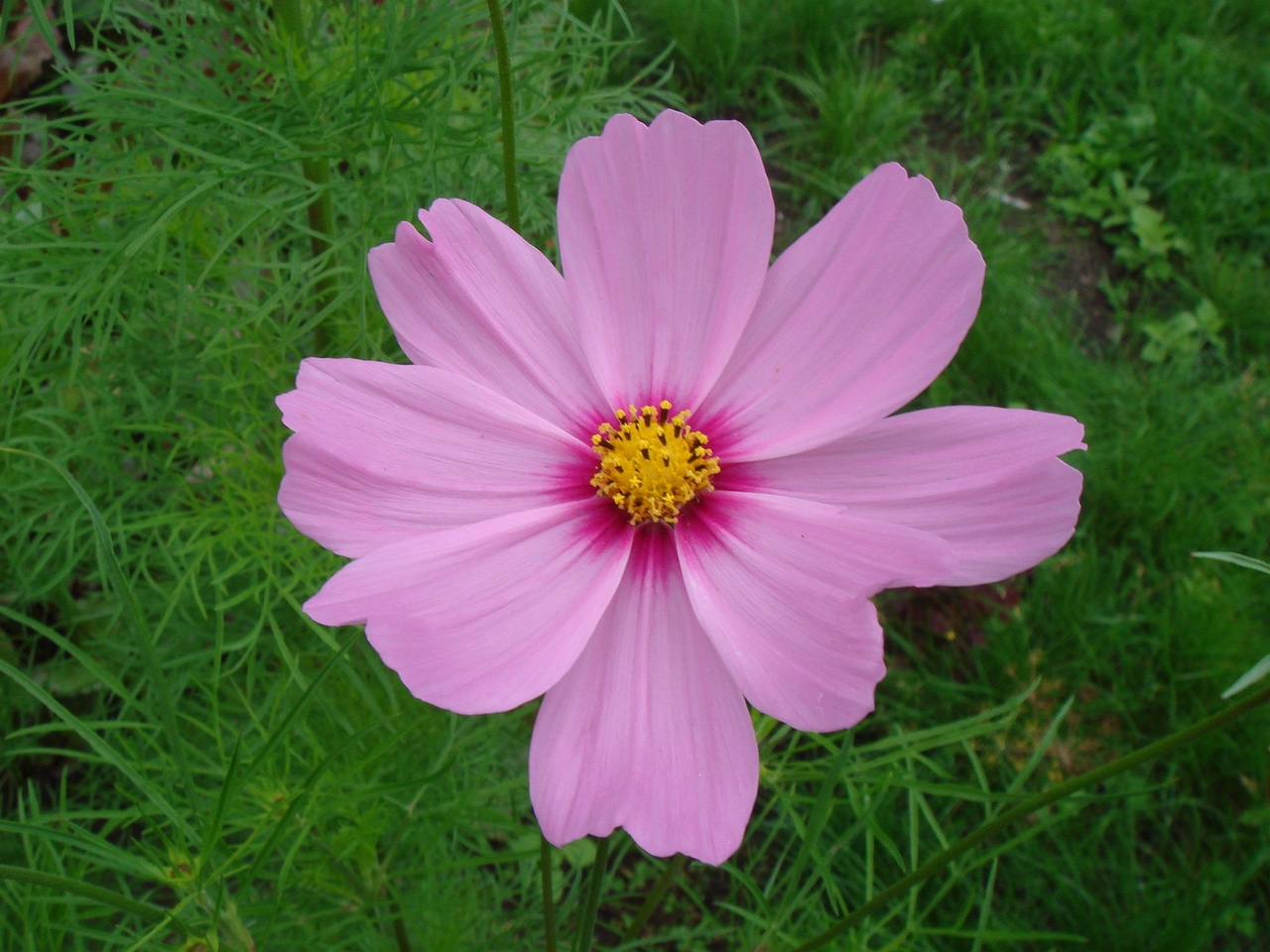 DSC09564