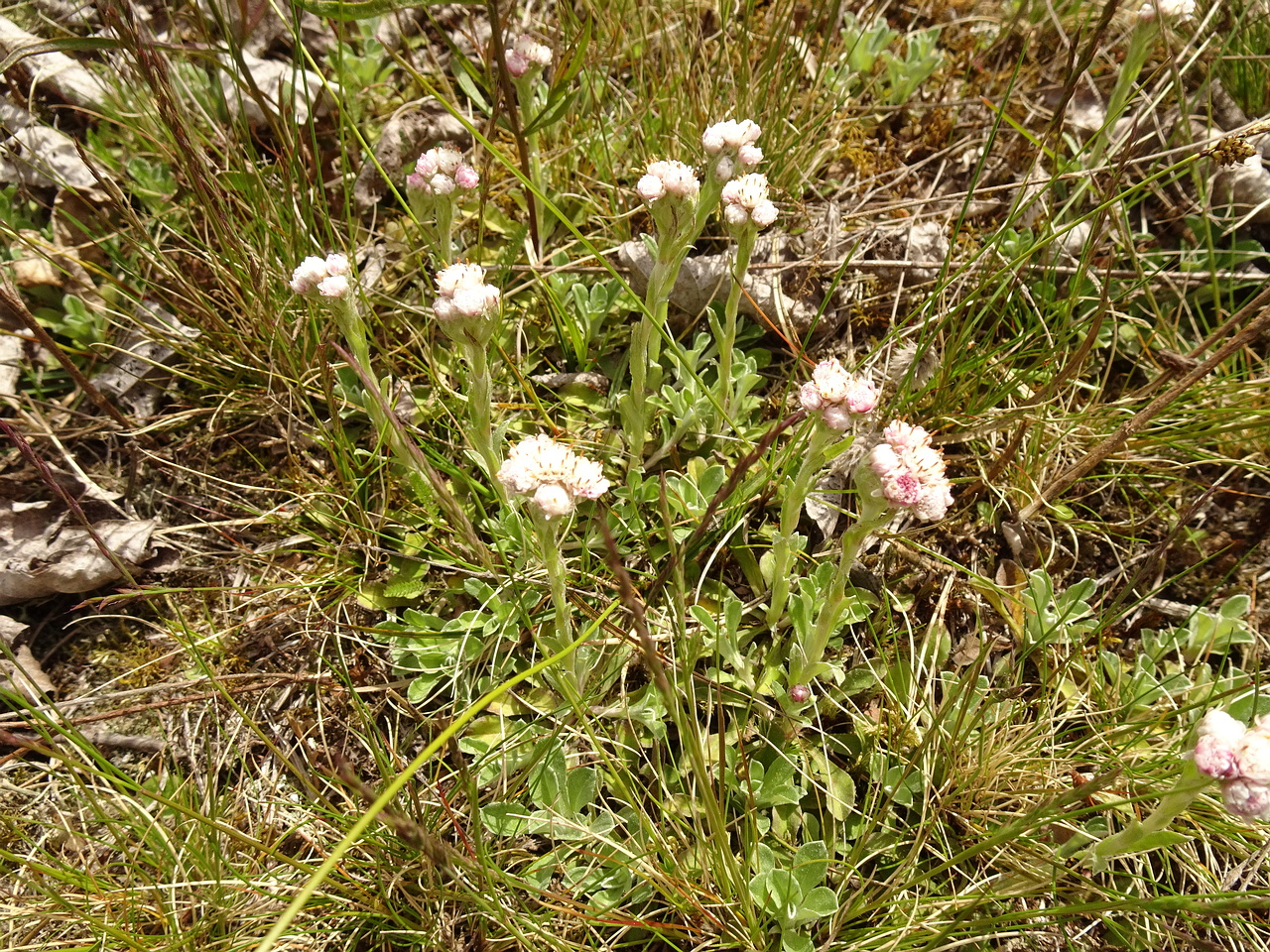DSC06419