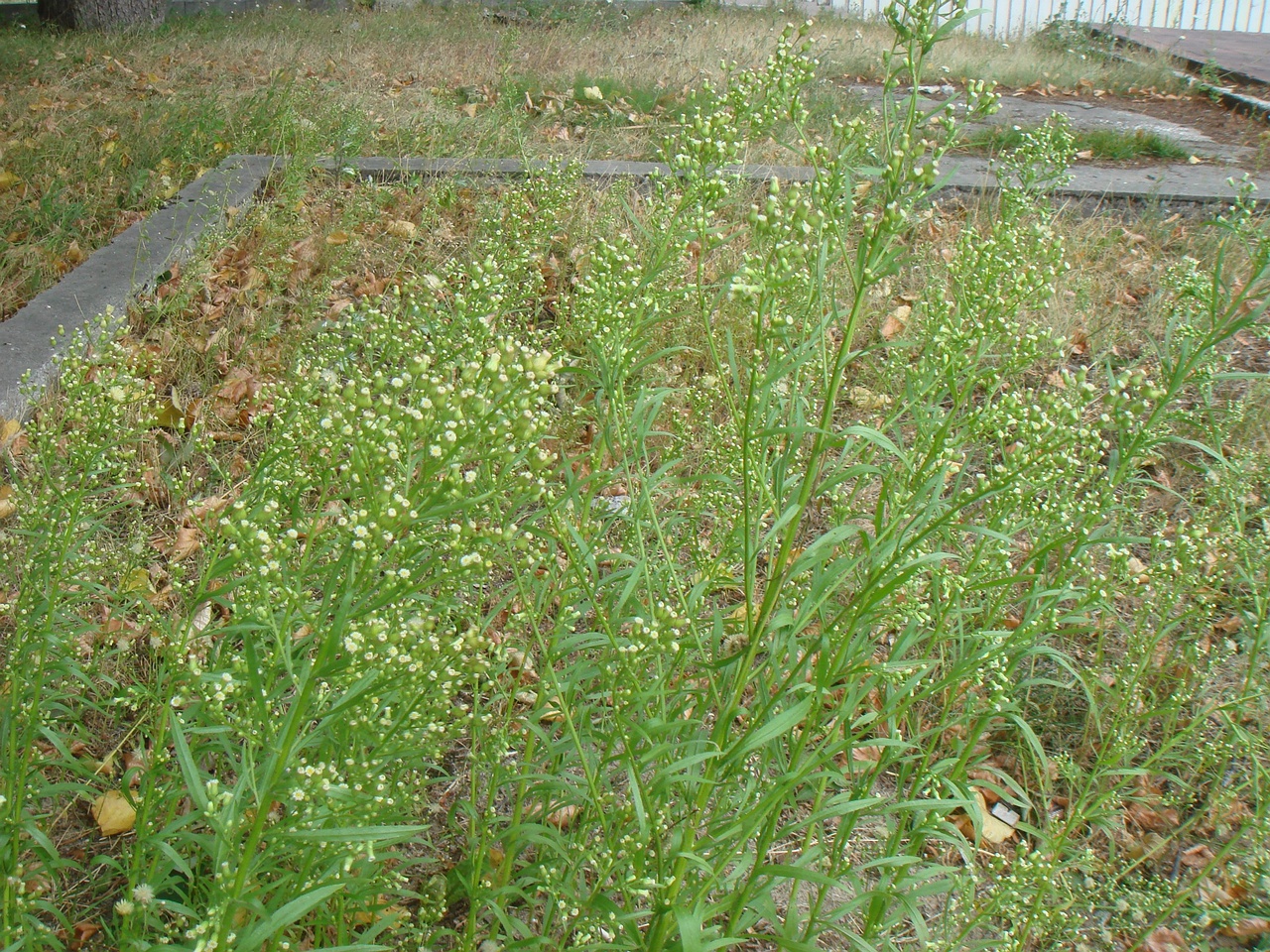 DSC08762