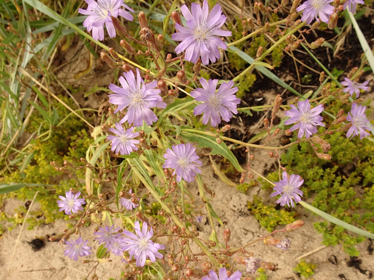 DSC00067