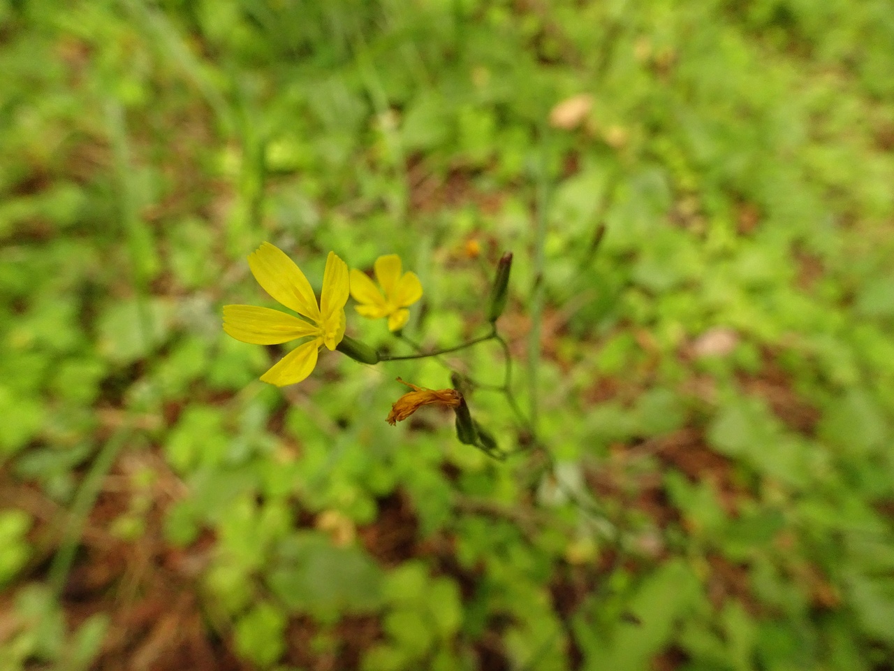 DSC09930