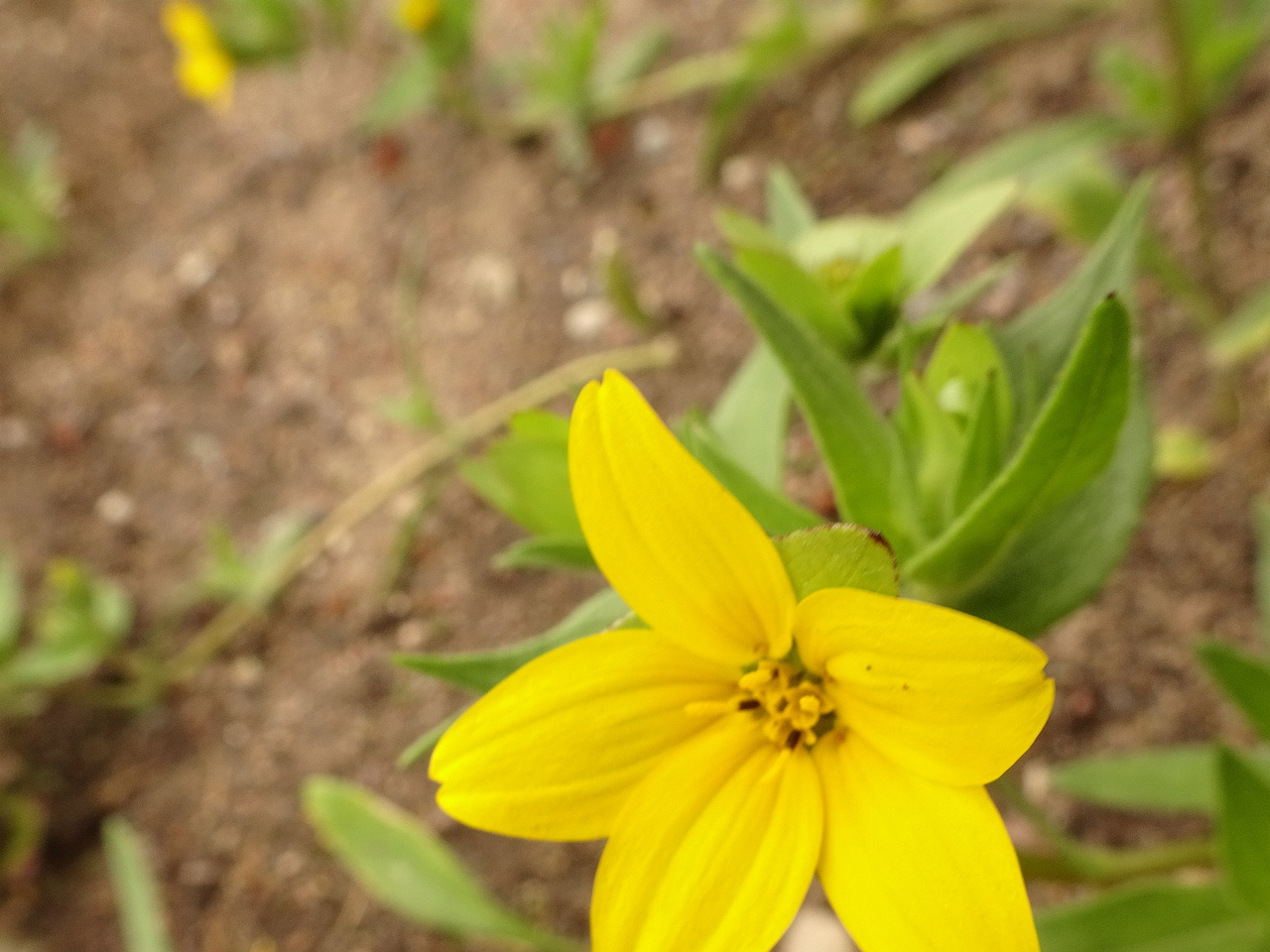 0DSC09080