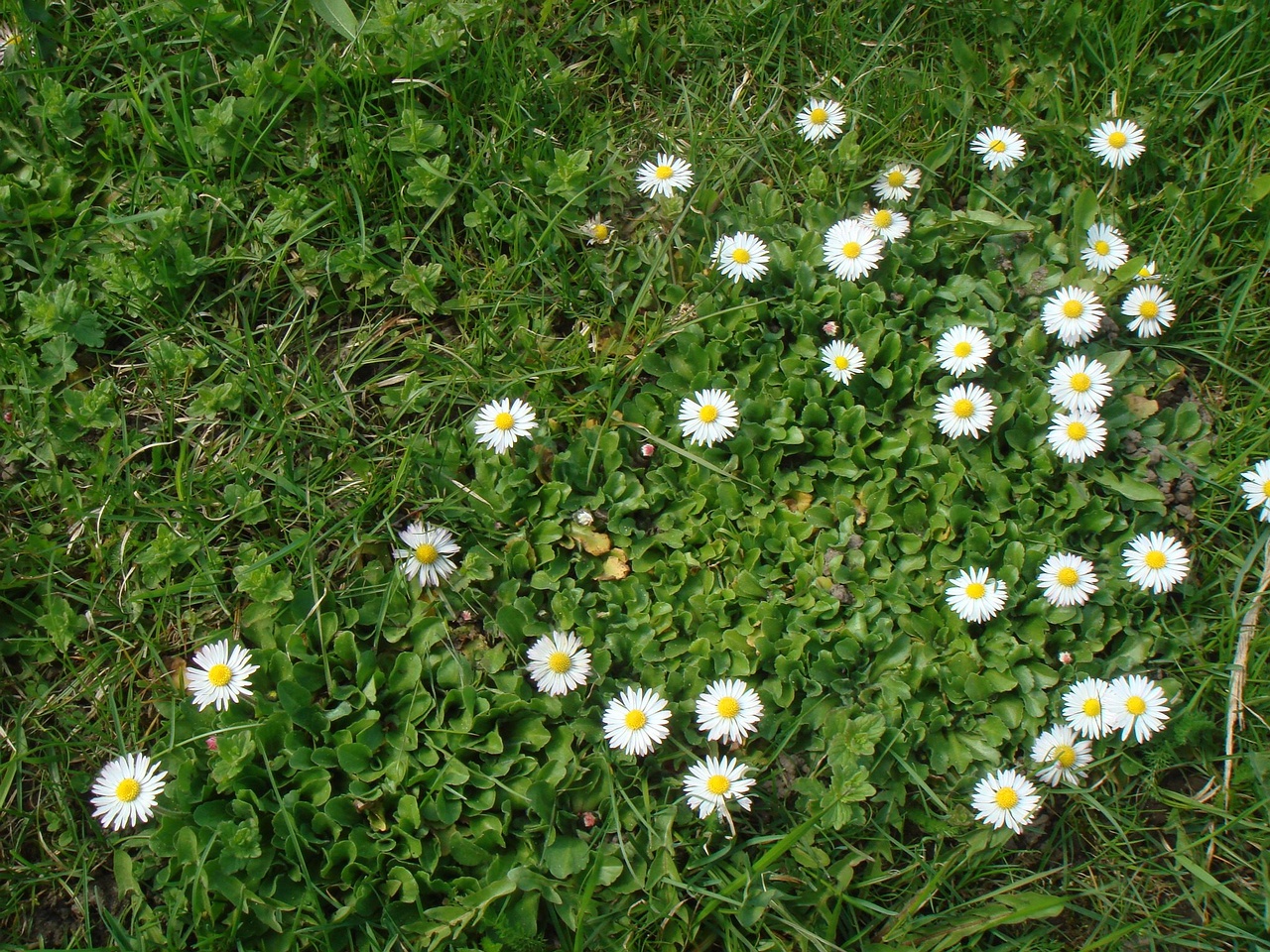 DSC00215