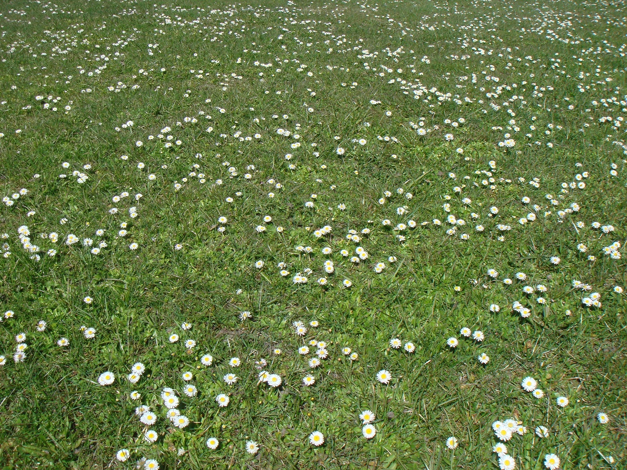DSC00262