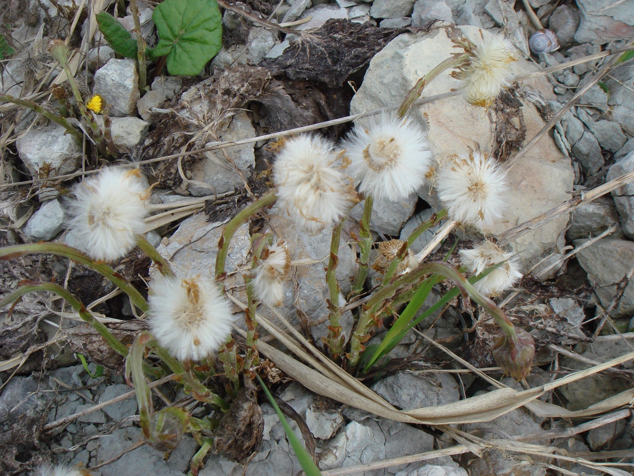 DSC00319