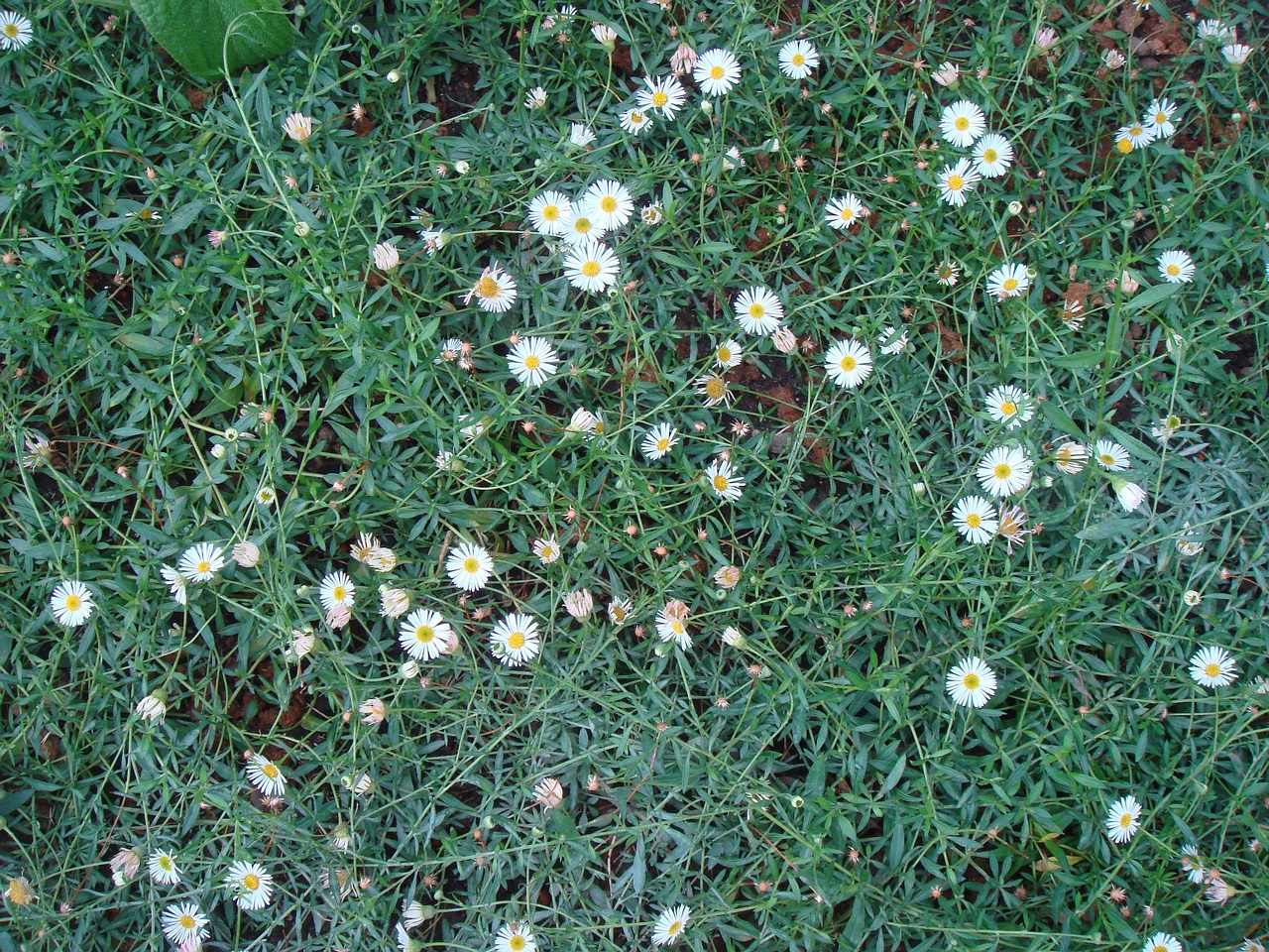 DSC09683