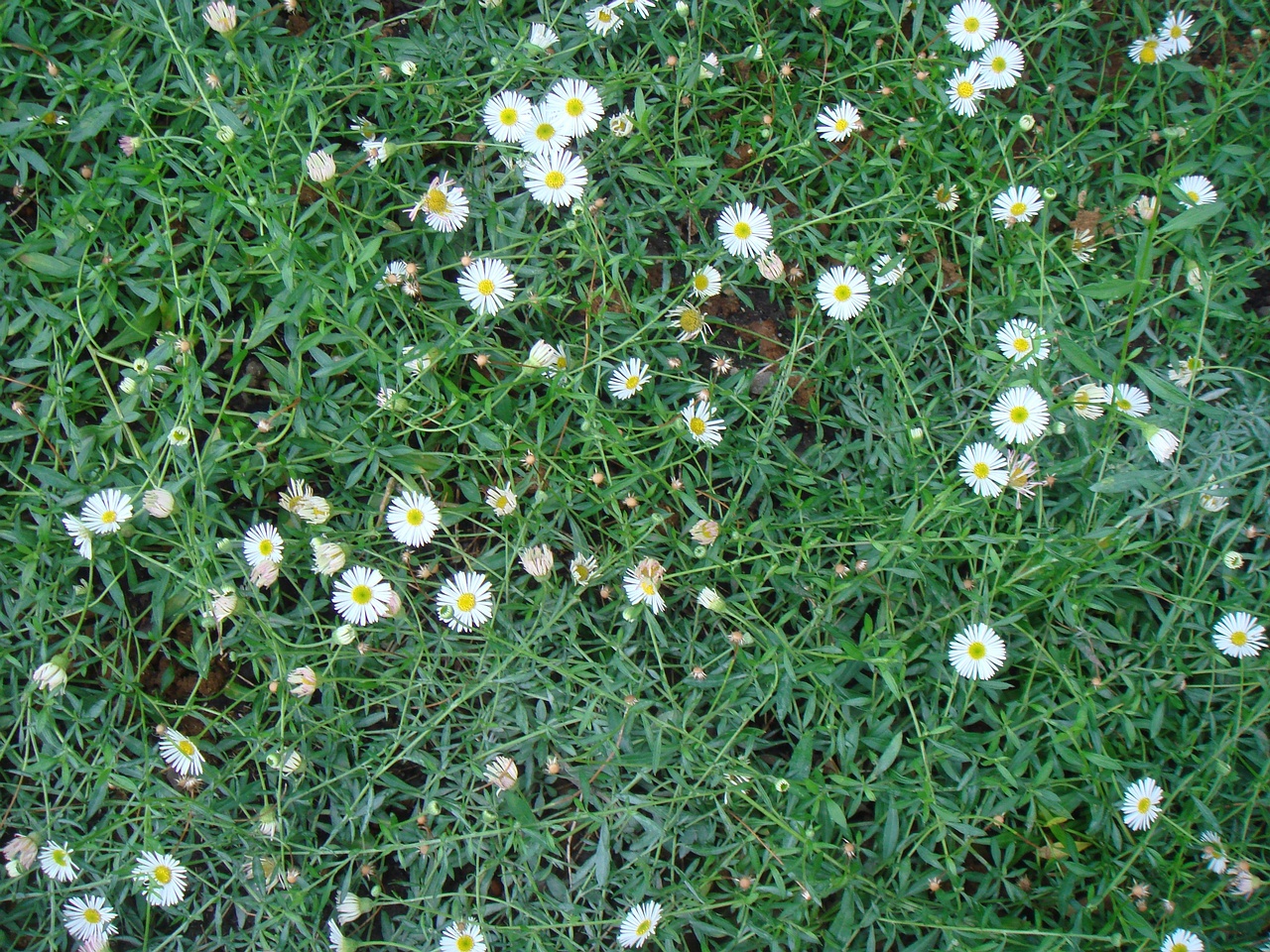 DSC09684