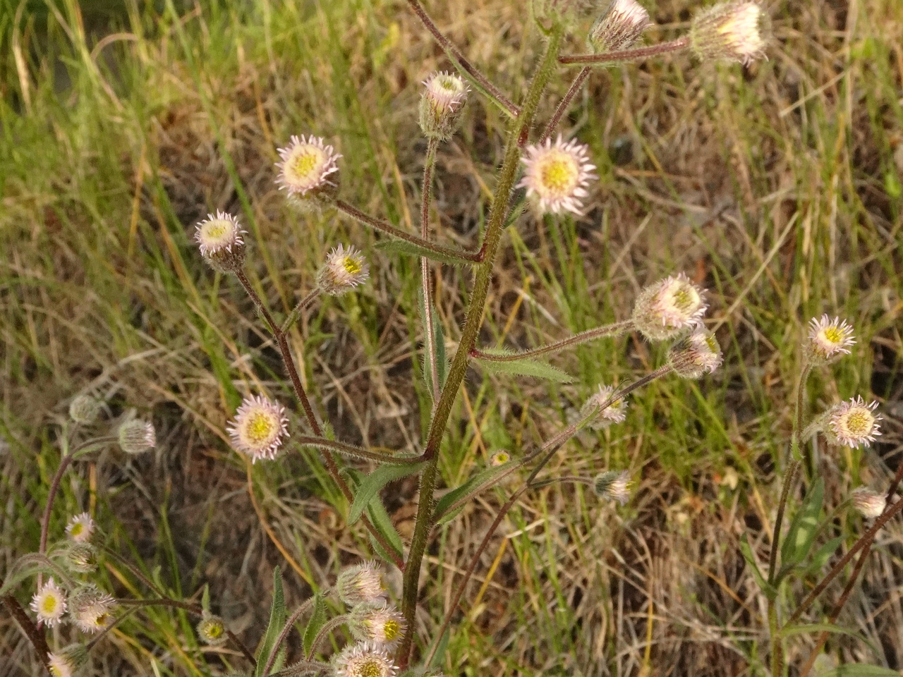 DSC03569